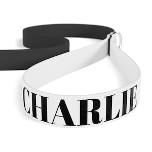 Custom Name Dog Leash, Personalized Dog Leash, Pet Products, Dog Leash with emergency contact, Custom Dog Name Leash, Waterproof Dog Leash