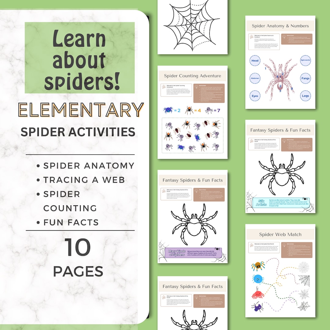 Printable Spider Activities/printable Preschool Activity Pages ...
