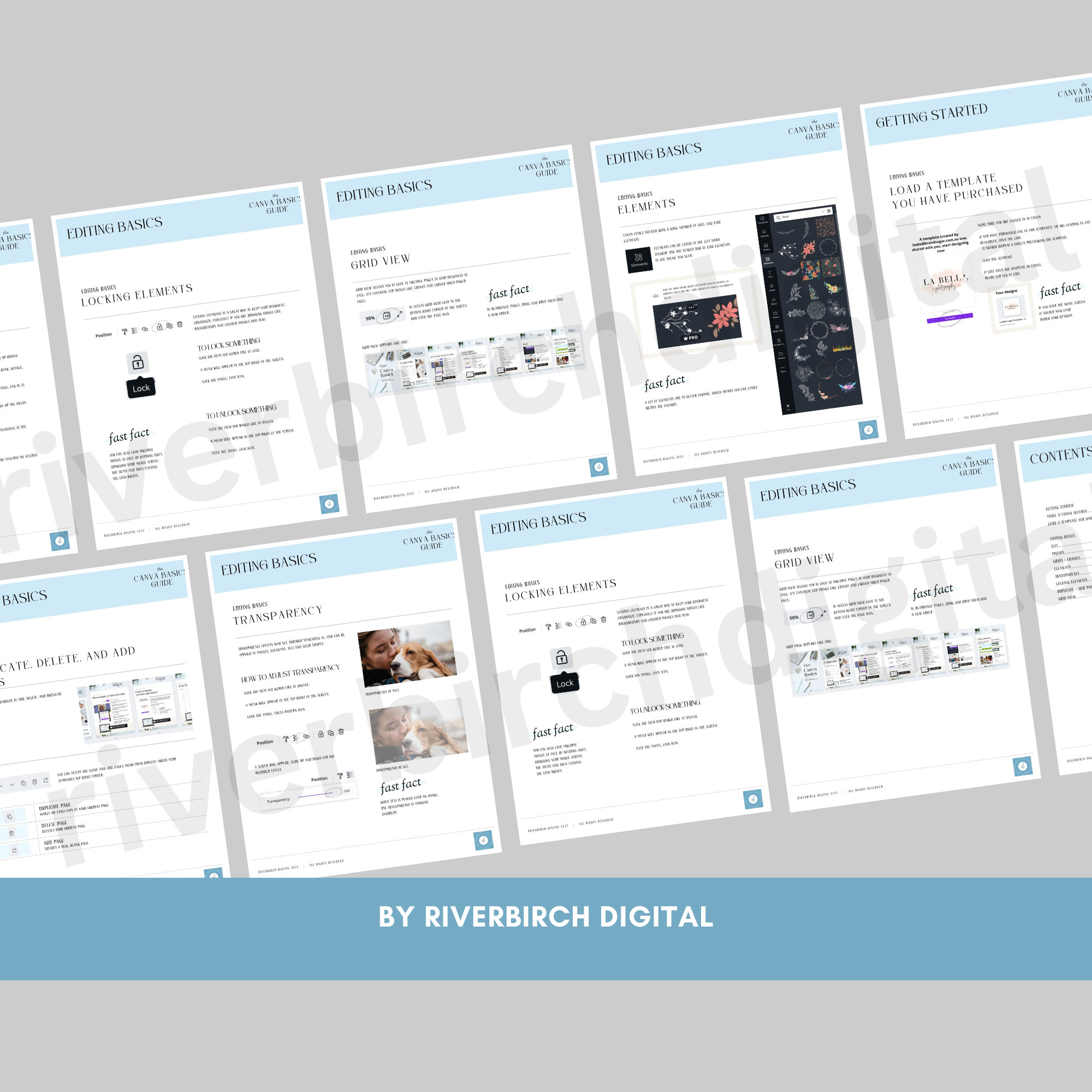 Printable Canva Basics Guide/instant Download/how to Use Canva/getting ...