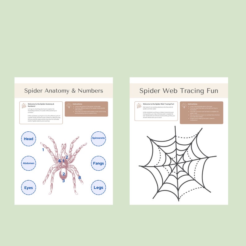 Printable Spider Activities/printable Preschool Activity Pages ...