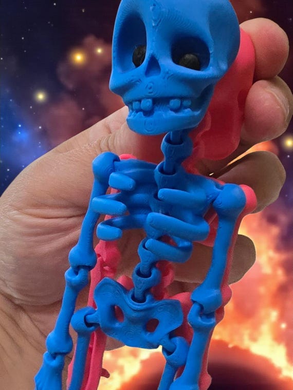 Skeleton Fridge Magnets – 3D Printed – Articulated – Mystery Color