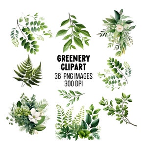 Greenery Clipart Bundle Watercolor Illustration Foliage Clipart Greenery Bundle Botanical Premade Clipart Scrapbooking Card Making Wedding
