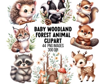 Cute Baby Woodland Animals Clipart Bundle Forest Animals PNG Watercolor Illustration Baby Shower Clipart Baby Animal PNG Nursery Printable