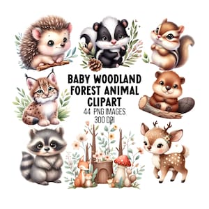 かわいい赤ちゃんの森の動物のクリップアートバンドル 森の動物 PNG 水彩イラスト ベビーシャワーのクリップアート 赤ちゃんの動物 PNG 保育園の印刷可能
