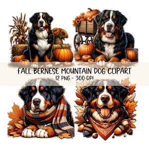Berner Sennenhund Clipart Bundle Berner Hunde Herbst PNG Hunde PNG Clipart Herbst Clip Art Bilder Berner Hund Shirt Design Berner Hund Mama
