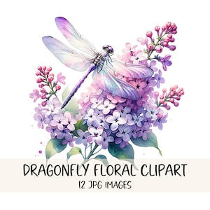 Ensemble de cliparts libellule florale libellules aquarelles Images JPG libellule graphiques jardin Clipart libellule imprimable dessins téléchargement