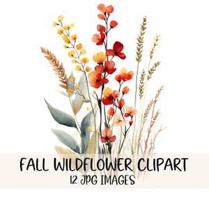 May include: A watercolour illustration of autumn wildflowers in red, orange, and yellow, with green and tan foliage. The text "FALL WILDFLOWER CLIPART" and "12 JPG IMAGES" is displayed at the bottom of the image.