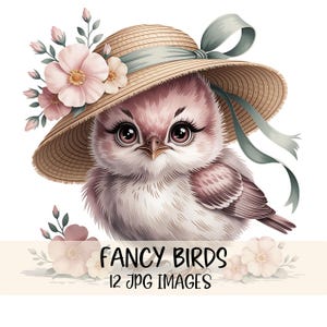 Pacote de clipart de pássaros fofos Imagens de pássaros caprichosos em chapéus JPGs de alta qualidade Download digital de pássaros florais Arte para impressão de pássaros extravagantes Cottagecore