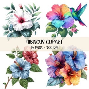Watercolor Hibiscus Clipart Bundle Rainbow Flower PNG Hummingbird Illustration Summer Clip Art Tropical Flowers Scrapbook Commercial Use