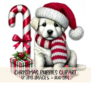Christmas Puppy Clipart JPG Image Cute Christmas Puppies Holiday Dog Art Festive Puppy Graphics Watercolor Christmas Dog Illustrations