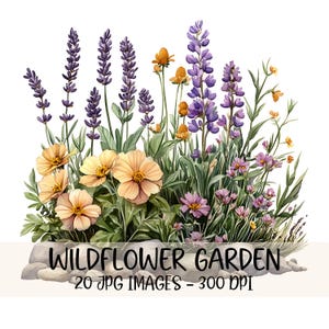 Bundle de cliparts fleurs sauvages aquarelle Clipart jardin de fleurs sauvages floral botanique Images JPG Illustration de fleurs sauvages Cottagecore floral