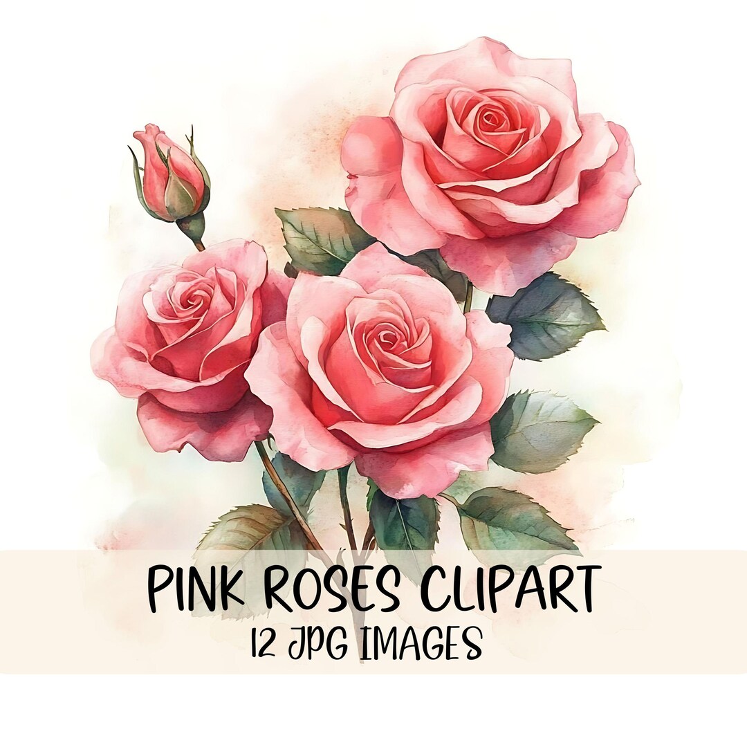 Watercolor Rose Clipart Bundle JPG Images Pink Roses Bouquet Clipart ...