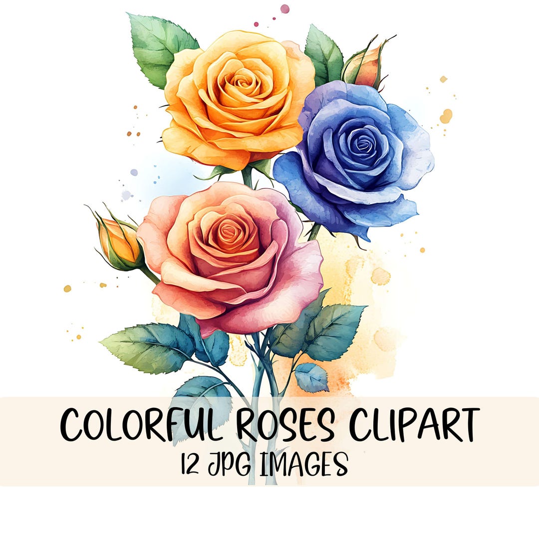 Watercolor Rose Clipart Bundle Colorful Floral Bouquet Clipart ...