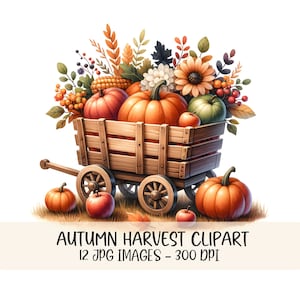Pacchetto Clipart autunno acquerello Raccolta autunnale Clip art Grafica stampabile della raccolta della zucca Immagini JPG Illustrazioni Diario spazzatura Ringraziamento