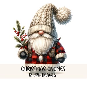 Op de afbeelding: Illustratie van een grillige kerstkabouter. De kabouter draagt een gebreide witte muts met een pompon, een rood-zwarte geruite jas en houdt een takje bessen vast. De tekst "CHRISTMAS GNOMES 12 JPG IMAGES" is inbegrepen.