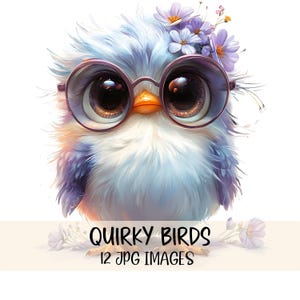 Whimsical Birds Clipart Colorful Bird Digital Clipart Watercolour Clipart High Quality JPG Images Printable Graphics Quirky Bird Clipart