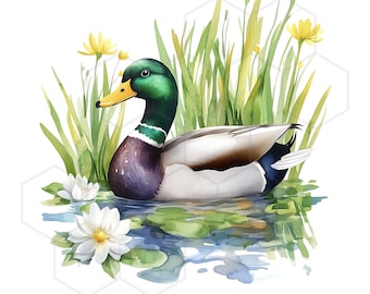 Stockente Enten Clipart Bundle JPG Bilder Aquarell Ente Clip Art Teich Clipart Scrapbooking CardMaking Grafik Kommerzielle Nutzung