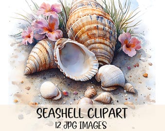 Seashell Clipart Watercolor Sea Shells Clipart High Quality JPGs Beach Graphics Seaside Images Junk Journal Digital Download Cardmaking