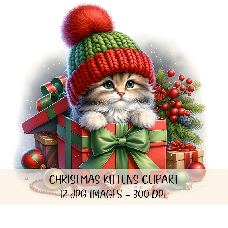 May include: A cute kitten wearing a red and green knitted hat sits inside a red gift box with a green bow. The box is surrounded by other Christmas decorations, including ornaments and a sprig of pine with red berries.