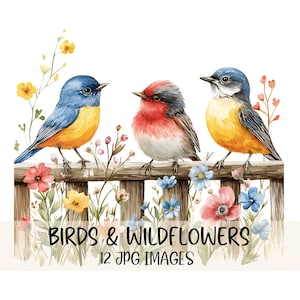 Vogel und Wildblumen Clipart Bundle Aquarell Vogel Clip Art hochwertige JPG Cottagecore Grafiken digitaler Download Papier Handwerk Junk Journal