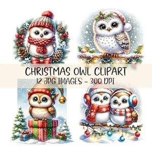 Clipart gufo di Natale Carino gufo invernale Arte animale festivo Clipart Vacanza Download digitale Illustrazione gufo delle nevi Immagine JPG stampabile Decorazione