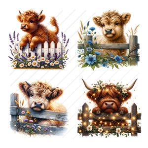May include: Four digital illustrations of Highland cattle with different backgrounds. The first image shows a brown Highland calf peeking over a white picket fence with purple and white flowers. The second image shows a brown Highland cow peeking over a wooden fence with blue flowers. The third image shows a brown Highland cow peeking over a wooden fence with green grass and flowers. The fourth image shows a brown Highland cow with a flower crown and string lights peeking over a wooden fence with white flowers.