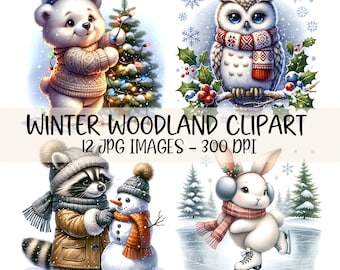 Winter Woodland Animals Clipart Bundle JPG Images Watercolor Winter Wildlife Clipart Forest Animal Art Cute Christmas Woodland Illustrations