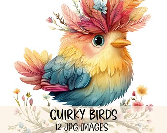 Whimsical Birds Clipart Colorful Bird Digital Clipart Watercolour Clipart High Quality JPG Images Printable Graphics Quirky Bird Clipart