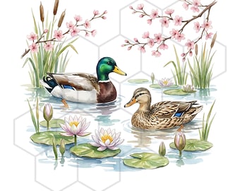 Stockente Enten Clipart Bundle JPG Bilder Aquarell Ente Clip Art Ente Clipart Scrapbooking CardMaking Grafik Kommerzielle Nutzung