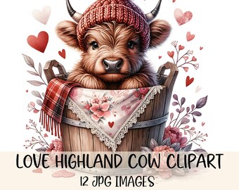 Highland Cow Valentine Clipart Pack Cute Highland Cow Design JPG Images Highland Cow In Bucket Illustration Valentines Day Clipart Printable