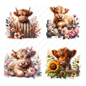 May include: Four digital illustrations of Highland cattle with floral accents. Each image features a brown and white Highland cow with a different floral arrangement. The first image features a cow with fall-colored leaves and flowers. The second image features a cow with pink and white roses. The third image features a cow with white and pink peonies. The fourth image features a cow with sunflowers.