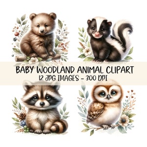 Schattige baby bosdieren clipart bundel bos dieren JPG aquarel illustratie baby shower afbeeldingen baby dier kwekerij afdrukbare decor