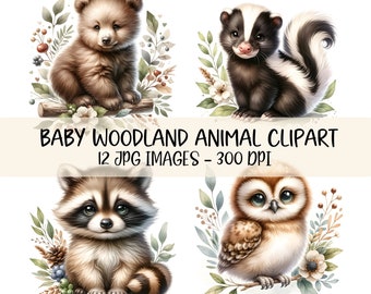Cute Baby Woodland Animals Clipart Bundle Forest Animals JPG Watercolor Illustration Baby Shower Images Baby Animal Nursery Printable Decor