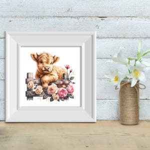 May include: A white framed print of a brown and white Highland cow calf peeking over a wooden fence with pink roses and green leaves.