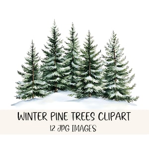 Puede incluir: Ilustración en acuarela de un grupo de pinos cubiertos de nieve. Los árboles son de varios tonos de verde, con detalles de nieve blanca. El texto "Winter Pine Trees Clipart" y "12 JPG Images" está debajo.