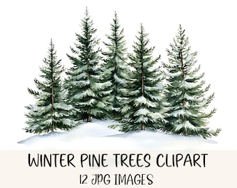 Op de afbeelding: Waterverfillustratie van een groep dennenbomen bedekt met sneeuw. De bomen zijn in verschillende groentinten, met witte sneeuwaccenten. De tekst "Winter Pine Trees Clipart" en "12 JPG Images" staat eronder.