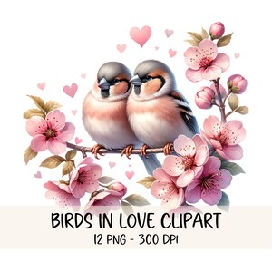 Lindo paquete de imágenes prediseñadas de pájaros, imágenes PNG de pájaros en acuarela, ilustración de pareja de pájaros, imágenes prediseñadas del día de San Valentín, pájaros florales imprimibles, descarga digital