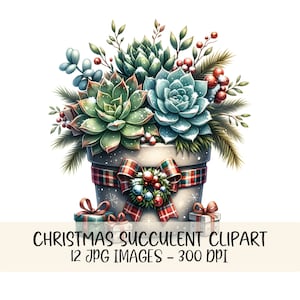 Clipart di piante grasse di Natale, piante grasse festive, arte digitale, decorazioni invernali, piante grasse, acquerello, pianta di Natale, festa, botanico, stampabile, JPG