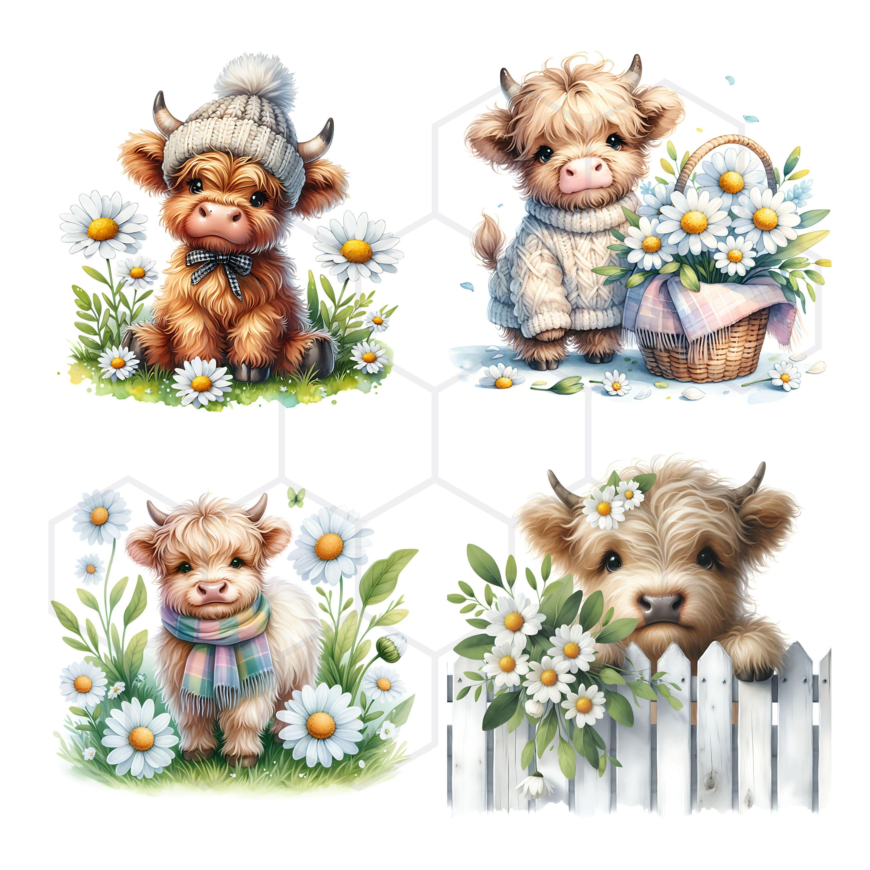 Baby Highland Cow Clipart Watercolor Daisy Clipart Spring Flowers ...