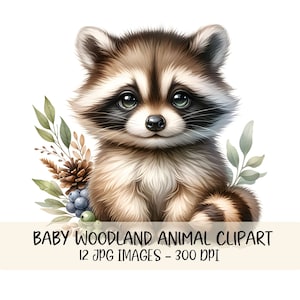 Schattige baby bosdieren clipart bundel bos dieren JPG aquarel illustratie baby shower afbeeldingen baby dier kwekerij afdrukbare decor