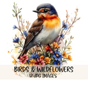 Vogel und Wildblumen Clipart Bundle Aquarell Vogel Clip Art hochwertige JPG Cottagecore Grafiken digitaler Download Papier Handwerk Junk Journal