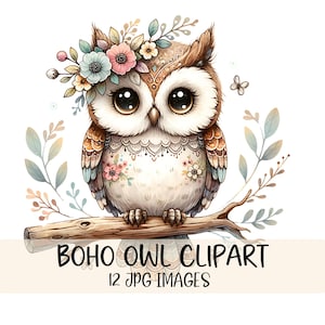 Blumen Eule Clipart Bundle Aquarell Eule JPG Bilder Waldtier Clipart Boho Eule Kinderzimmer Kunst wunderliche Eule Illustration Design druckbare