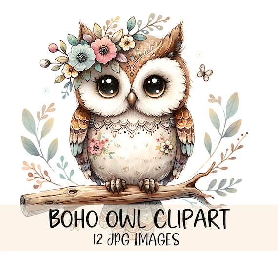 Floral Owl Clipart Bundle Watercolor Owl JPG Images Woodland Animal Clipart Boho Owl Nursery Art Whimsical Owl Illustration Design Printable