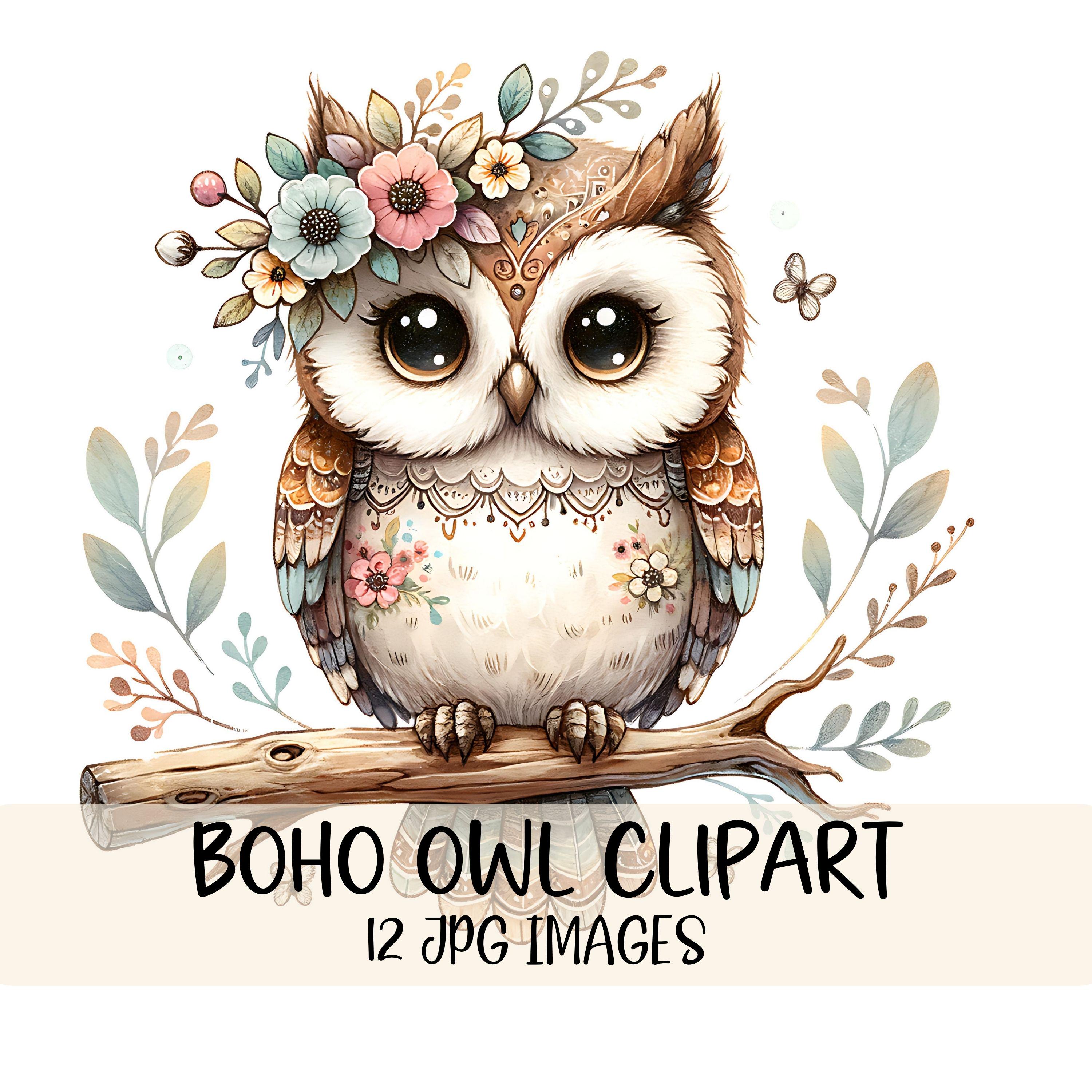 Floral Owl Clipart Bundle Watercolor Owl JPG Images Woodland Animal Clipart Boho Owl Nursery Art Whi
