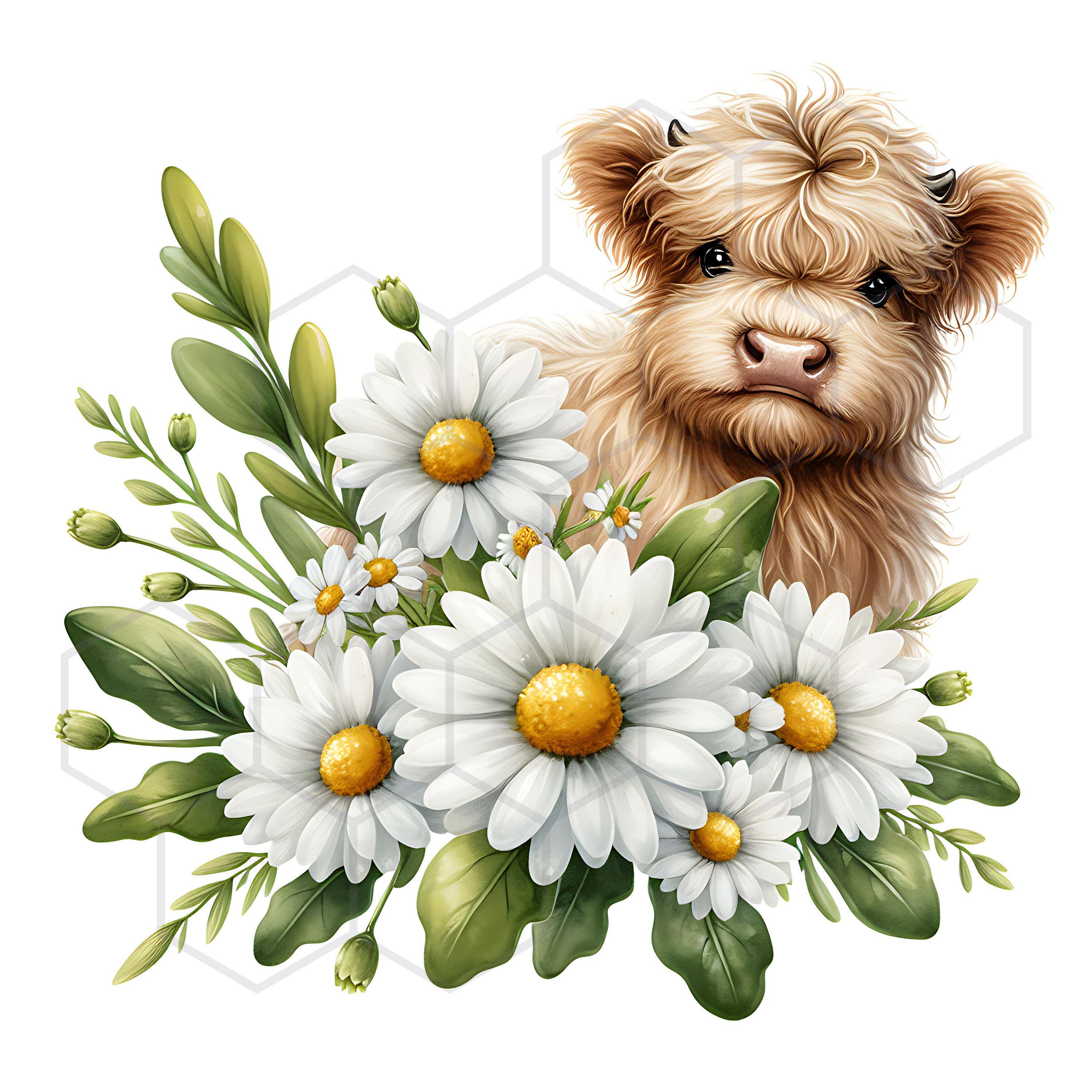 Baby Highland Cow Clipart Watercolor Daisy Clipart Spring Flowers ...