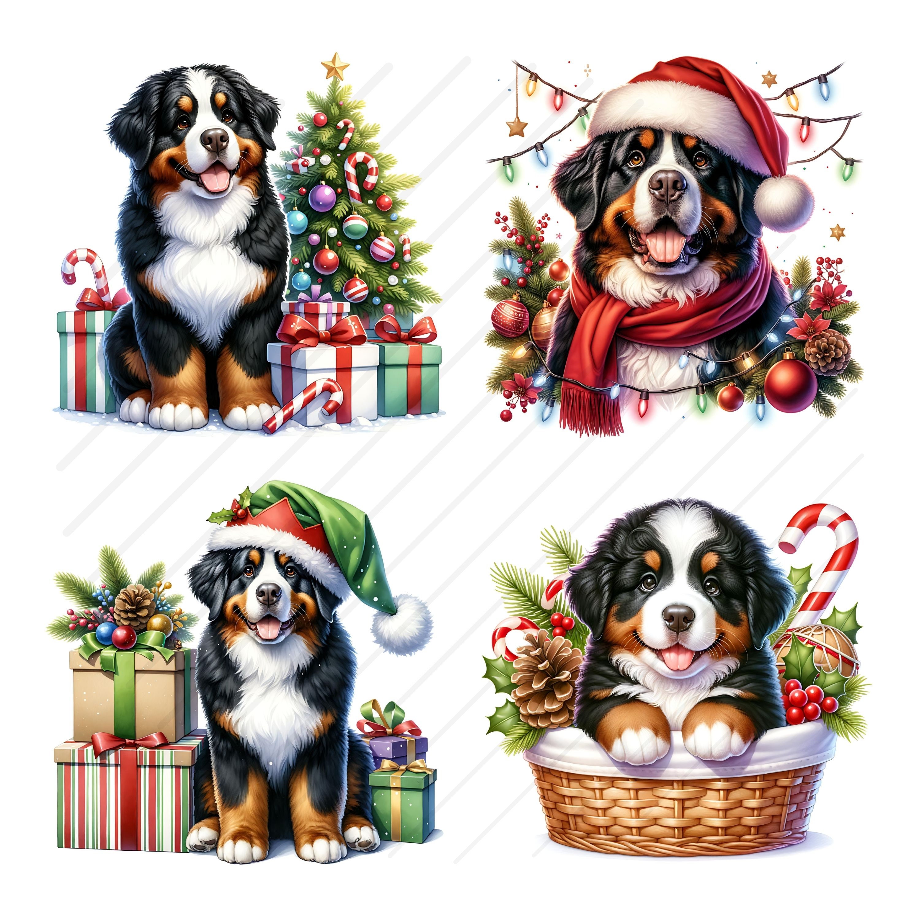 Bernese Mountain Dog Christmas Card (6" X 4") Blank Inside - With Envelope. Perfect Item For Any Dog Lover