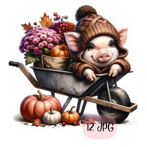 Peut inclure: Une illustration charmante d'un porcelet portant un bonnet et un pull en tricot marron, assis dans une brouette remplie d'articles de récolte d'automne. Des citrouilles, des fleurs et des feuilles entourent la brouette. L'image contient le texte "12 JPG".