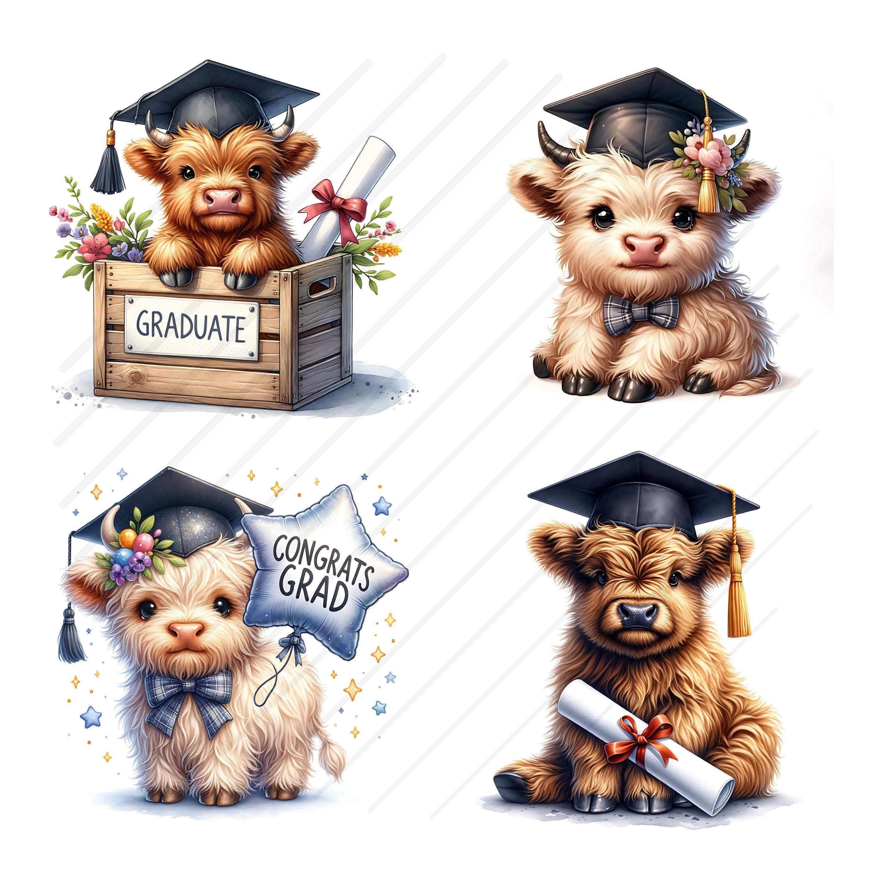 Highland Cow Clipart Graduate Graduation Clipart Bundle Cute Highland ...