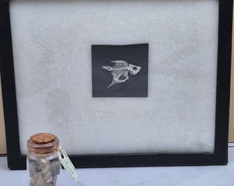 Mini Fish Skeleton Specimen Display with Fossil Jar – Alaska Antique Curiosity Cabinet Set