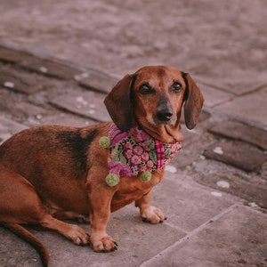 Artisan bandana for dogs and cats handmade on a loom